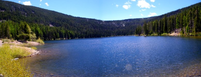 Panoramic of Badger Lake-Mt Hood