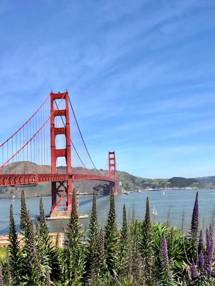 Golden Gate Bridge in San Francisco, California.
