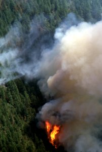 140 Rogue River-Siskiyou National Forest Biscuit Fire