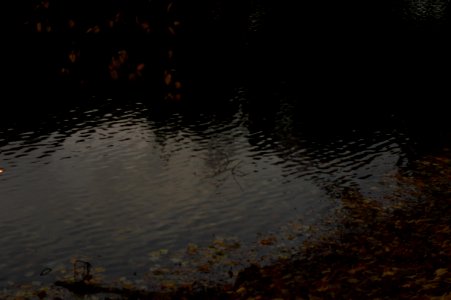 DSC 0110