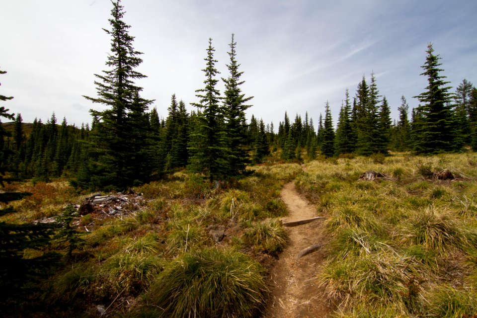 Start of Divide Trail leading to Kelly Butte Lookout, Mt Baker Snoqualmie National Forest