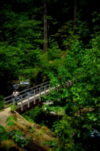 Forest Service Ranger Crossing Upper Bridge-Columbia River Gorge photo