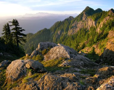 Colonel Bob Wilderness, Olympic National Forest photo