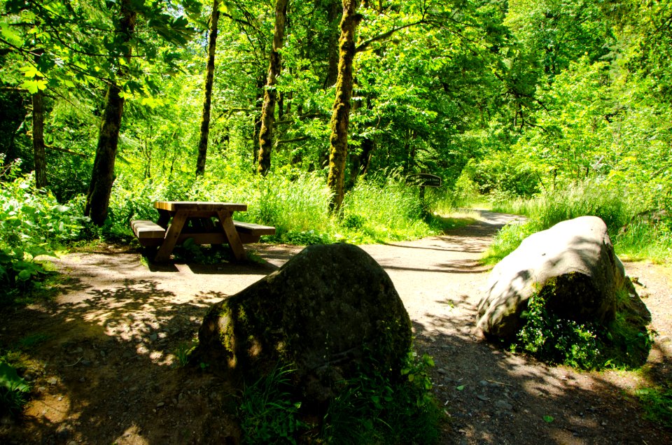 Picnic Table at Wahclella Falls Trail-Columbia River Gorge