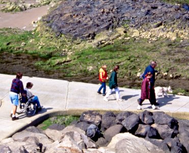 Man in Wheelchair at Cape Perpetua, Siuslaw National Forest photo