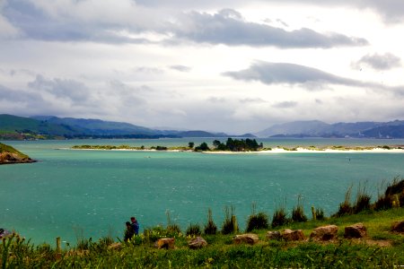 Storm Afoot, Dunedin Harbour Albatross Colony