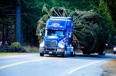 2013 Capitol Christmas Tree- Entering Newport