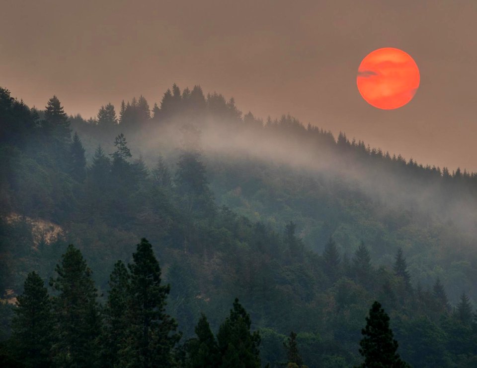 Smoke from Jones Fire, 2017, Photo by Marcus Kauffman