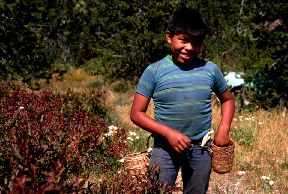 Gifford Pinchot National Forest, huckleberry picking-2.jpg