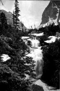 84863 Summit Fork Falls, Mt. Baker NF c1910 photo