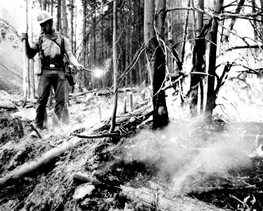 FS Ranger Ignites a Backfire c1975