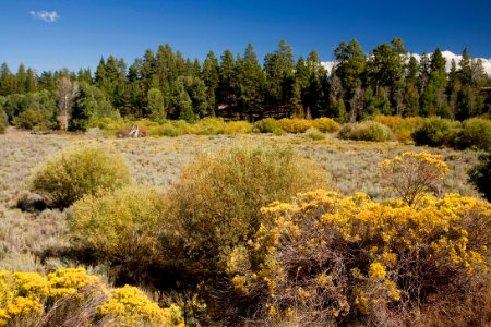 Sycan Marsh in Autumn-Fremont Winema