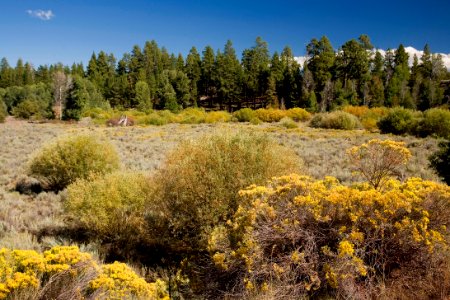 Sycan Marsh in Autumn-Fremont Winema photo