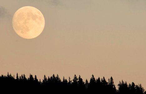 Moon at McKenzie Pass, Willamette National Forest photo