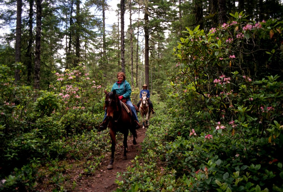 Horserider riding trail, rhododendron, Mt Hood National Forest