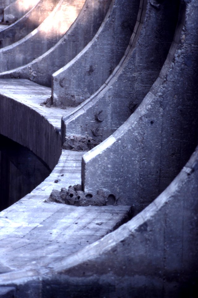 structure with curved walls