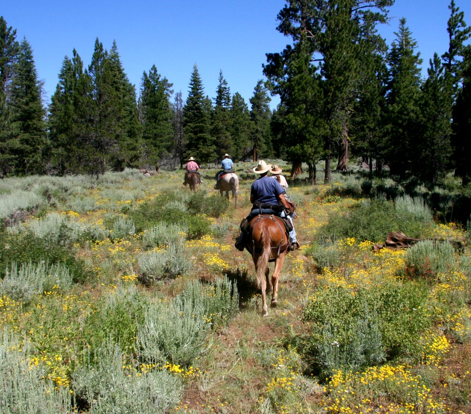 Horseback Riders in Field-Fremont Winema