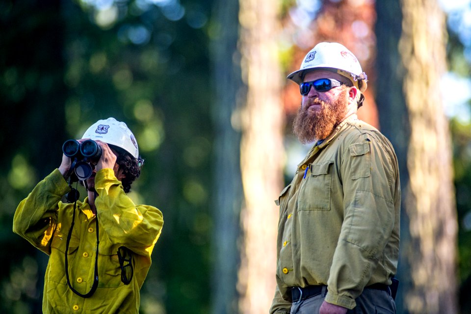 Beachie Creek Fire Firefighters Surveying Fire Willamette National Forest