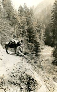 A Rock Work on Eagle Creek Trail 2