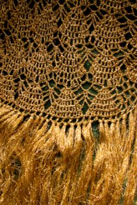 gold woven fabric with fringe photo