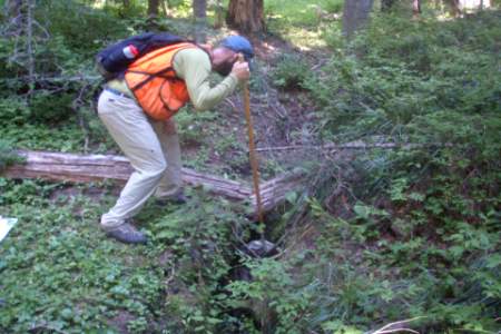 Forest Service Staff Inspect Stream, Mt Hood National Forest