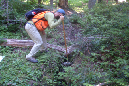 Forest Service Staff Inspect Stream, Mt Hood National Forest photo