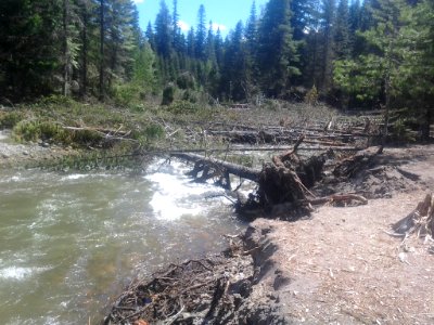 2016 White River Flood Closure 2, Mt Hood National Forest