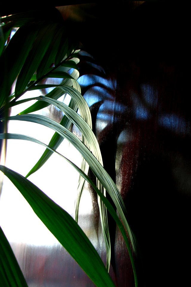 curving leaves