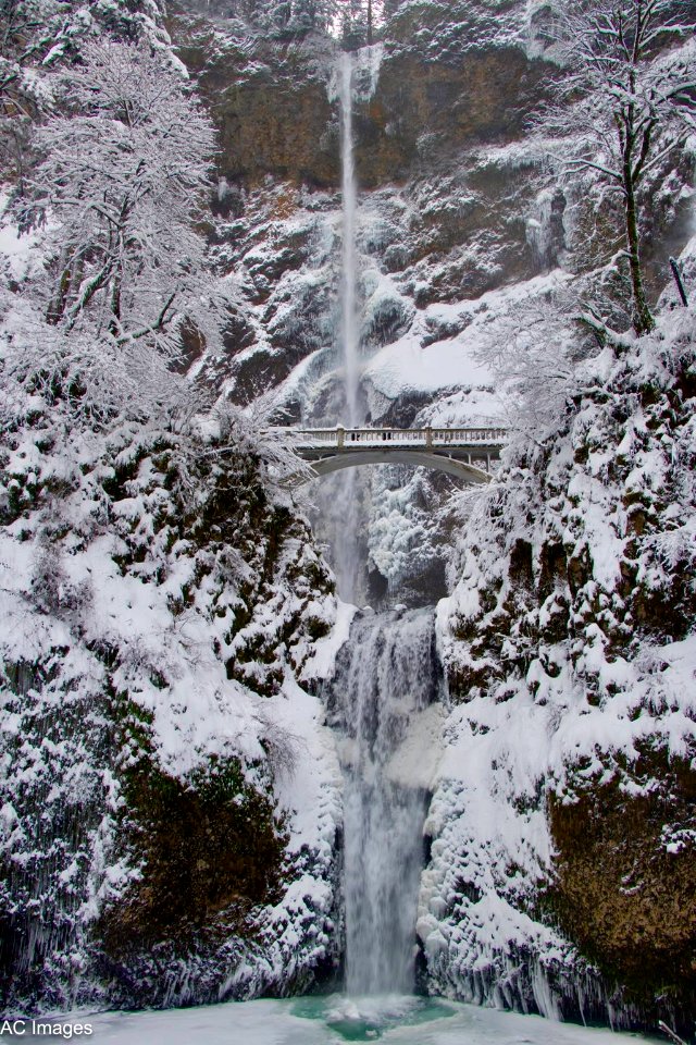 A snowy day at Multnomah Falls in early February 2019, photo by Andy Coriell.