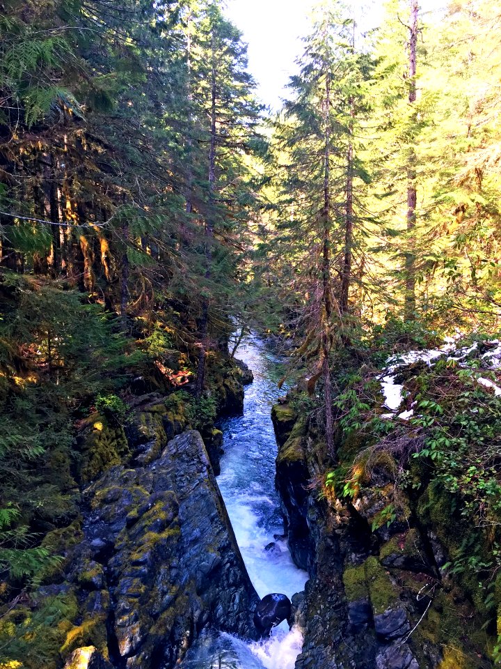 Opal Creek flowing through Canyon, Willamette National Forest