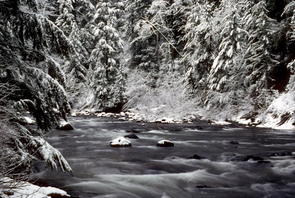Salmon River Mt Hood National Forest-2.jpg