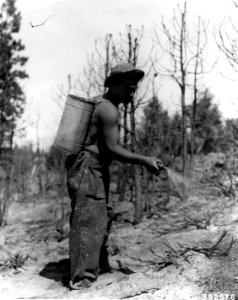 392575 CCC Water Pack in Action, Deschutes NF, OR 1936 photo
