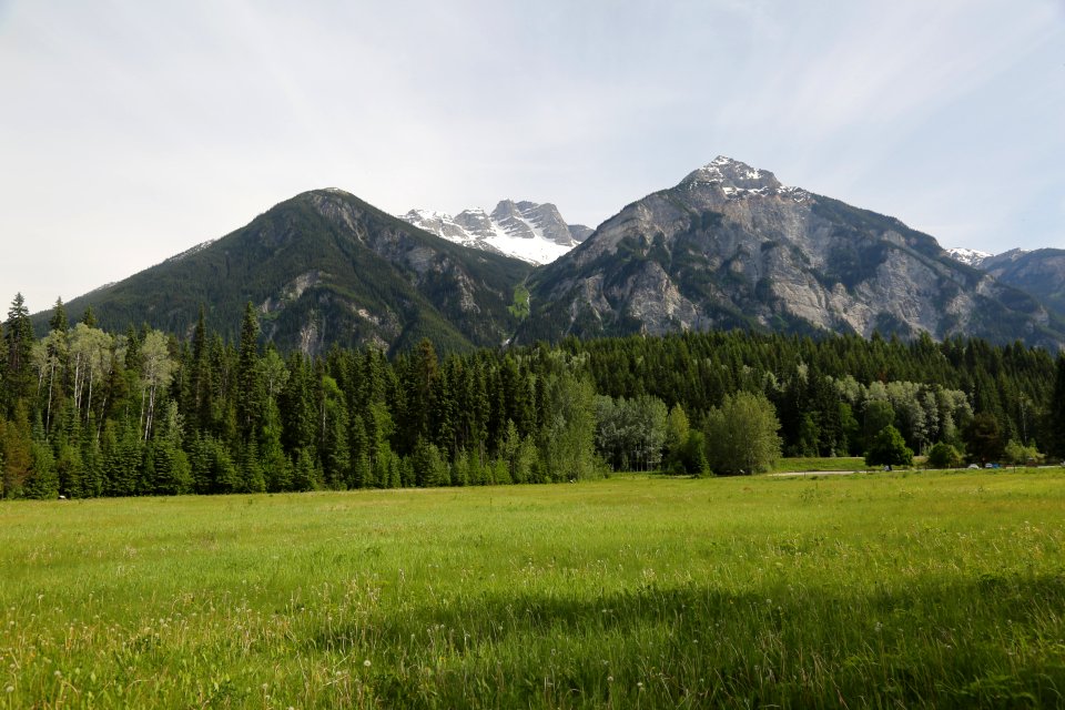 Jasper National Park, June 2017