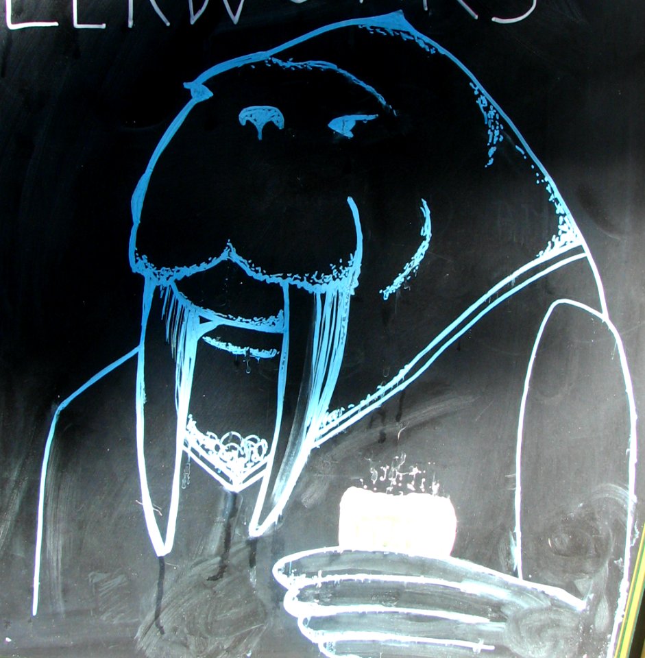 walrus drawing