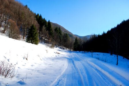 Clear Sunny Winter Day in Mountains photo
