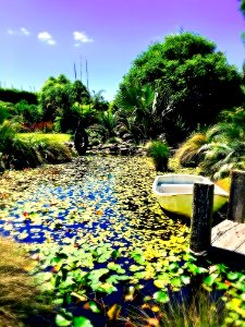 wedding garden scenery, getting the fever