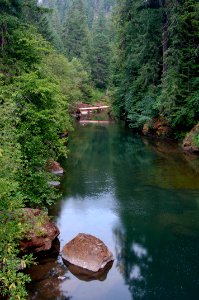 South Fork Umpqua River-Umpqua photo