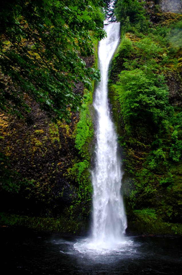Lower Horsetail Falls-Columbia River Gorge