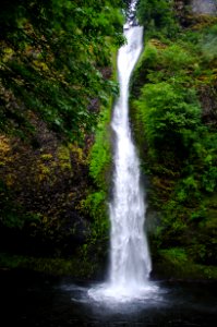 Lower Horsetail Falls-Columbia River Gorge