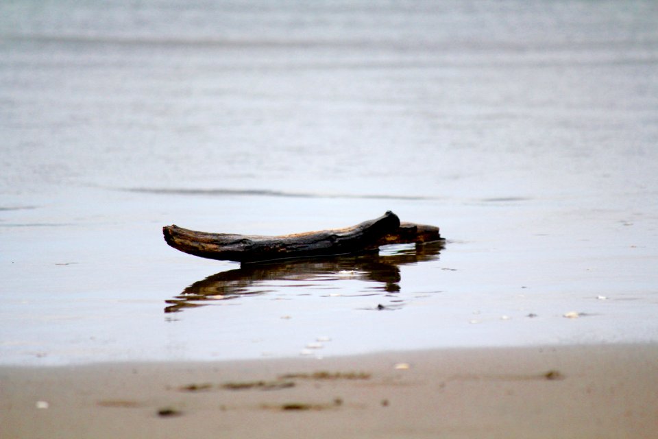 floating with the tide