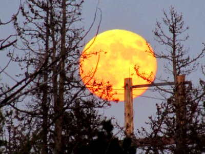 Harvest moon two 2013