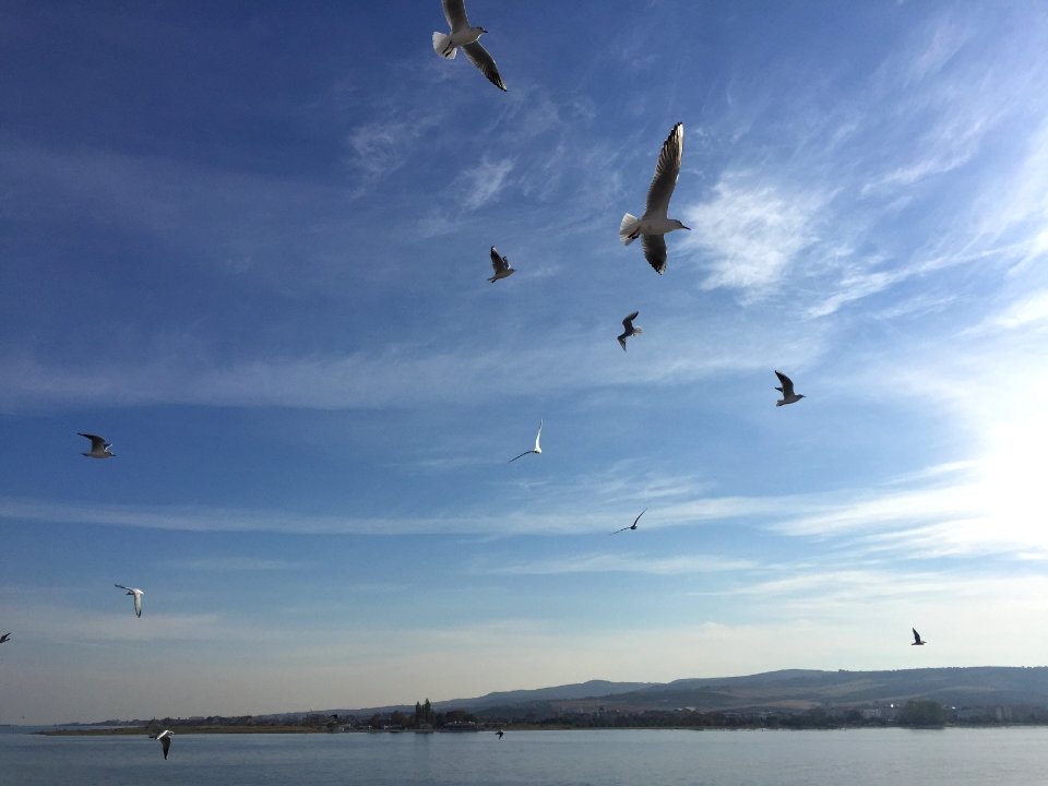 Turkey