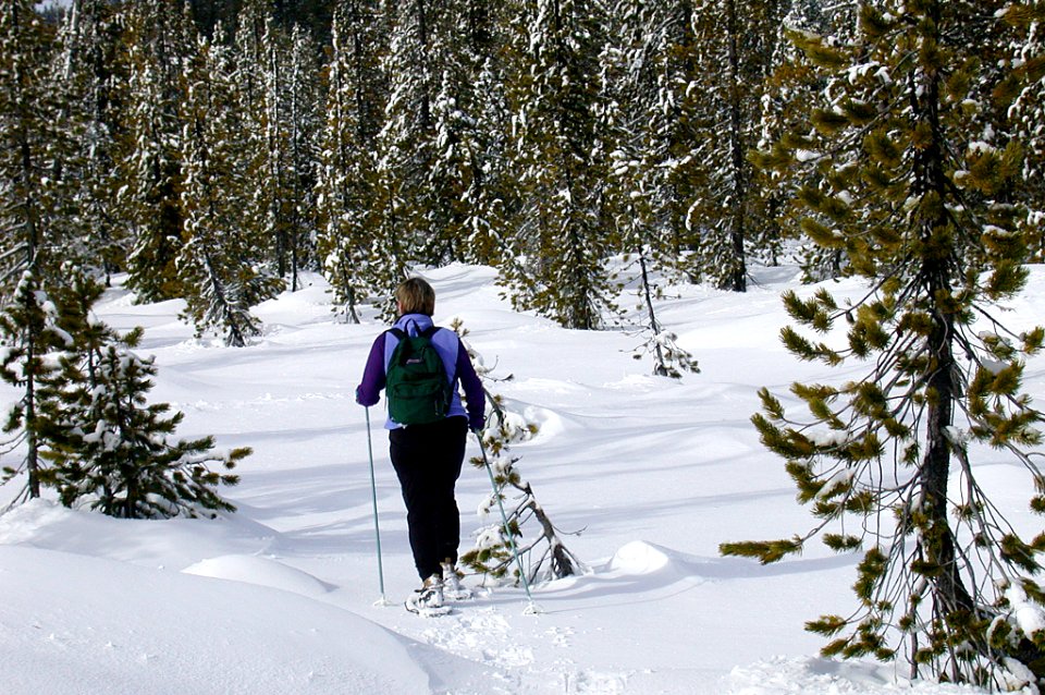 Woman Snowshoeing-Mt Hood