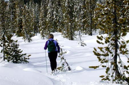 Woman Snowshoeing-Mt Hood photo