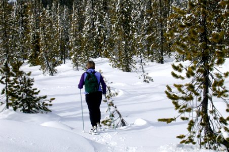 Woman Snowshoeing-Mt Hood
