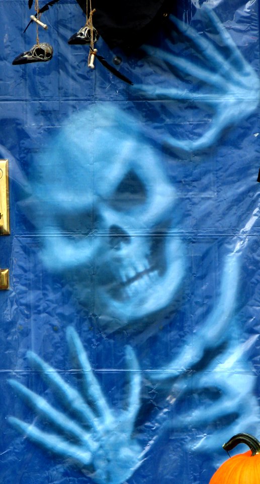 Halloween decoration 1