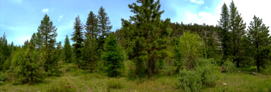 Pacific Northwest Trail panorama below Haley Mountain