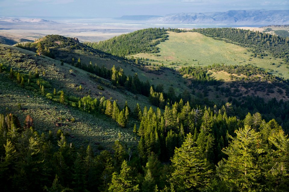 Twelve Mile Butte & Hart Lake-Fremont Winema