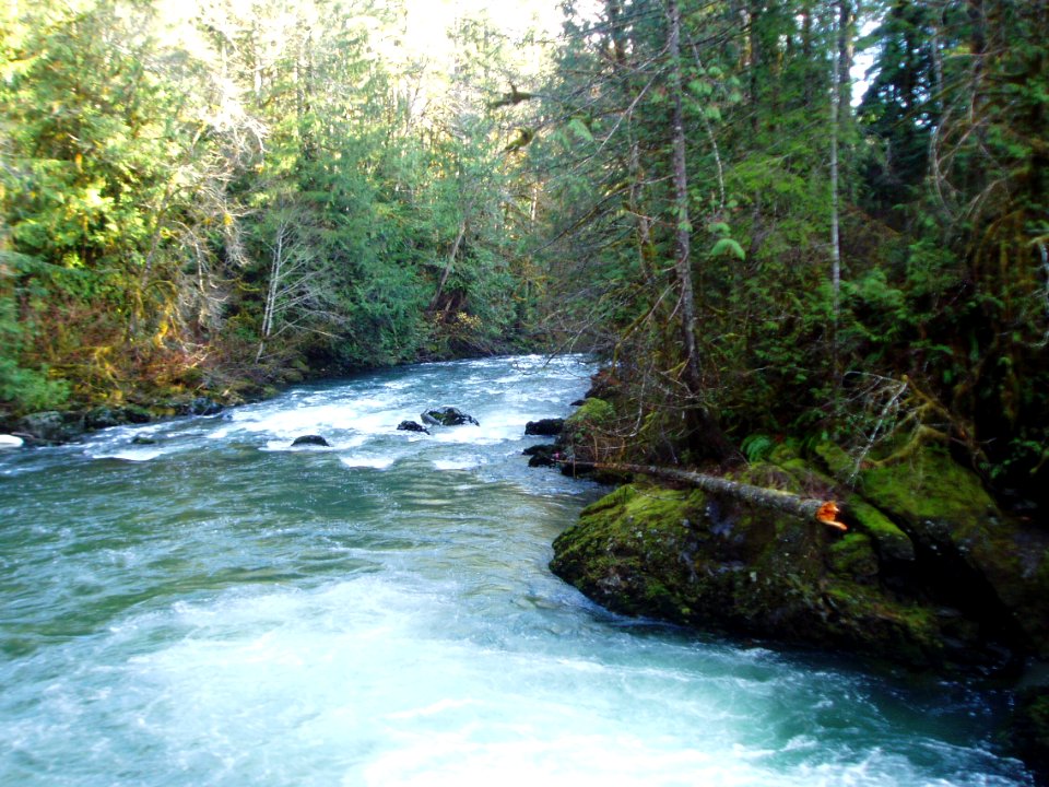 Duckabush River at Ranger Hole, Olympic National Forest