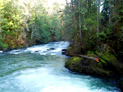 Duckabush River at Ranger Hole, Olympic National Forest